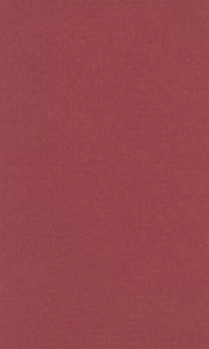 Бумага для пастели LANA 50*65см 160г/кв.м красный