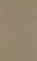 Бумага для пастели LANA 50*65см 160г/кв.м светло-коричневый