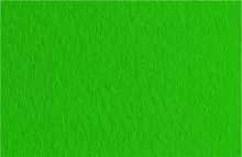 Бумага для пастели FABRIANO TIZIANO 50*65см 160г/кв.м зеленый темный хлопок 40%