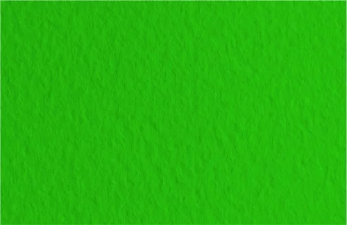 Бумага для пастели FABRIANO TIZIANO 50*65см 160г/кв.м зеленый темный хлопок 40%