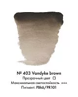 Краска акварельная VAN GOGH ван дик коричневый №403 туба 10мл NEW