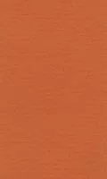 Бумага для пастели LANA 210*297мм (А4) 160г/кв.м оранжевый