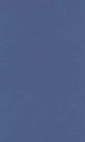 Бумага для пастели LANA 50*65см 160г/кв.м королевский голубой