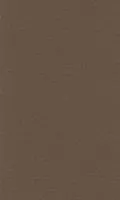 Бумага для пастели LANA 210*297мм (А4) 160г/кв.м темно-коричневый