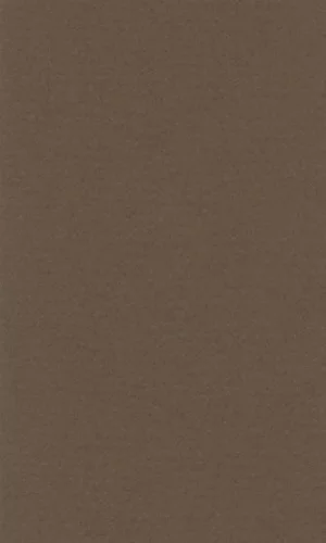 Бумага для пастели LANA 210*297мм (А4) 160г/кв.м темно-коричневый