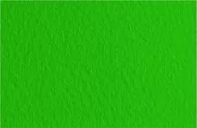 Бумага для пастели FABRIANO TIZIANO 210*297мм (А4) 160г/кв.м зеленый темный хлопок 40%