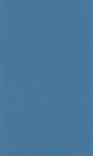Бумага для пастели LANA 210*297мм (А4) 160г/кв.м бирюзовый