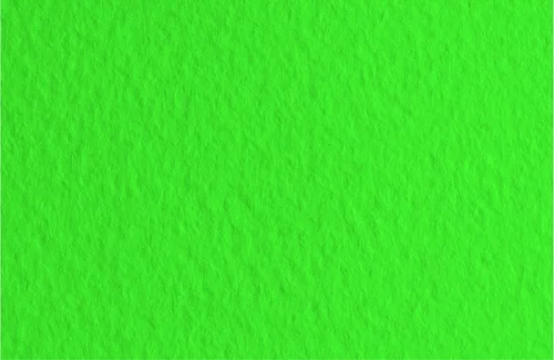 Бумага для пастели FABRIANO TIZIANO 50*65см 160г/кв.м зеленый хлопок 40%