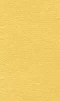 Бумага для пастели LANA 50*65см 160г/кв.м светло-желтый