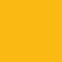 Пастель масляная MUNGYO желто-оранжевый №508 круглое сечение 1 штука