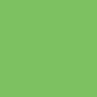Бумага цветная FOLIA 210*297мм (А4) 300г/кв.м светло-зеленый, 1 лист