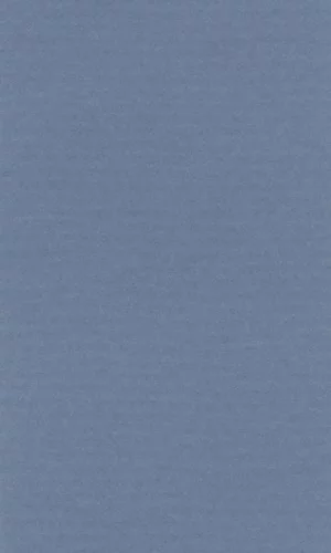 Бумага для пастели LANA 210*297мм (А4) 160г/кв.м голубой